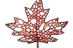Brittle Leaf