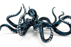 Blue/Black Octopus