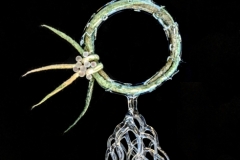 Windswept Tree I