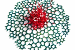 Alien Coral