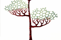 Tall Tree