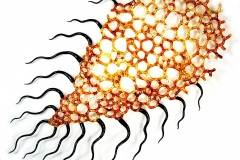 Alien Flagellum