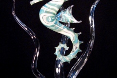 Swimming Seahorse